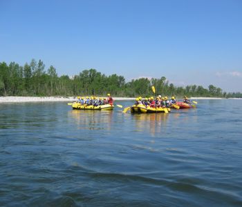 foto2