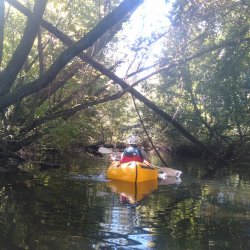 compagnie » Friuli-Venezia Giulia » RIVERLAND A.S.D.