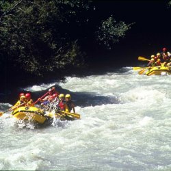 compagnie » Trentino » acquaterra